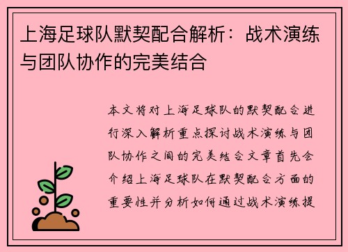 上海足球队默契配合解析：战术演练与团队协作的完美结合