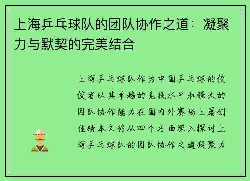 上海乒乓球队的团队协作之道：凝聚力与默契的完美结合